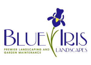 Blue Iris Logo