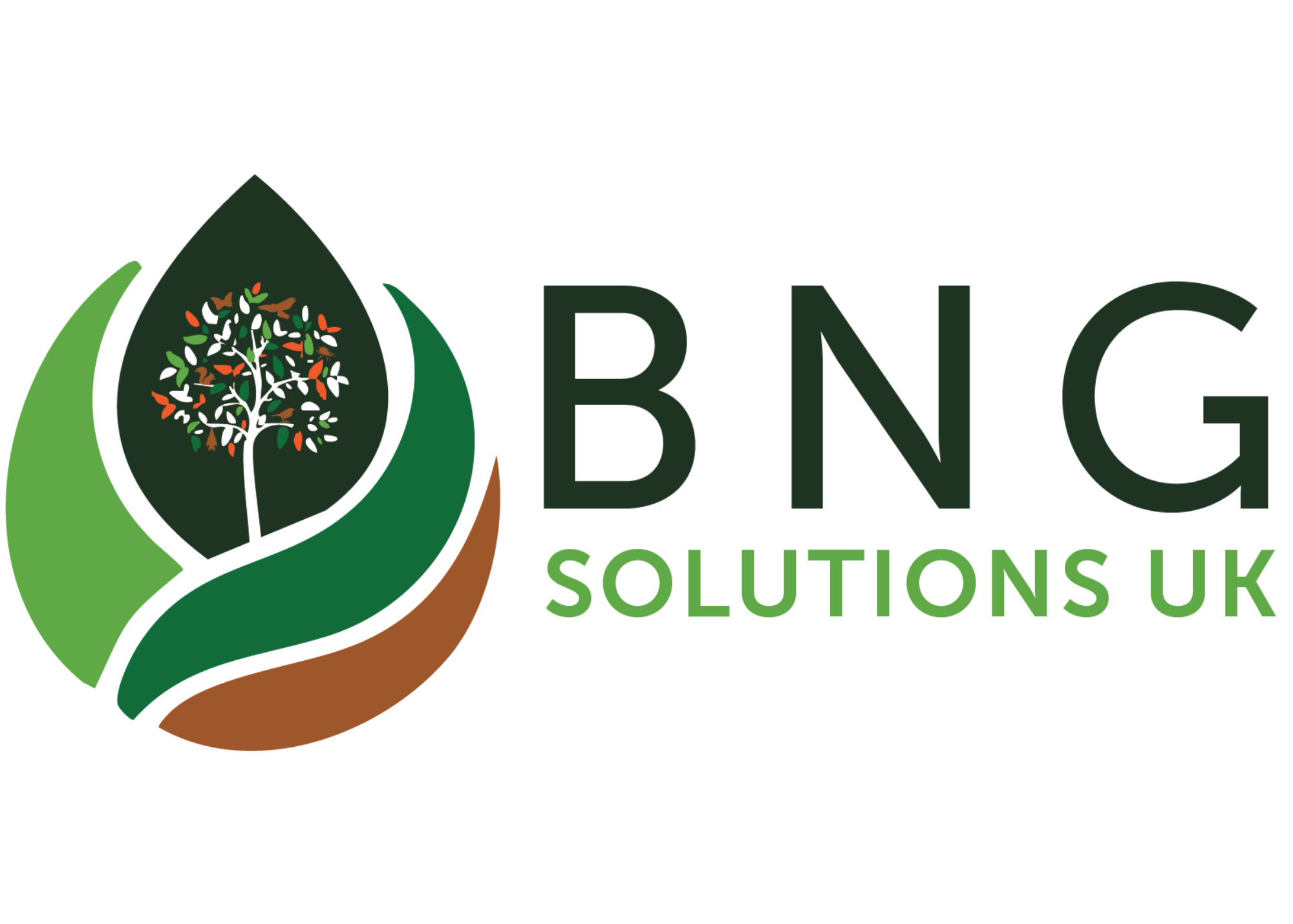 BNG Solutions Logo