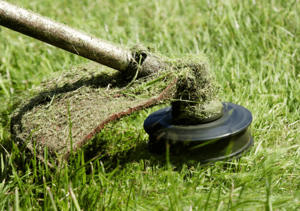 Grass being cut by a spinning trimmer head on a sunny day.